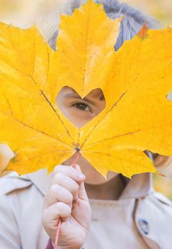 Children in the park with autumn leaves. Selective focus.