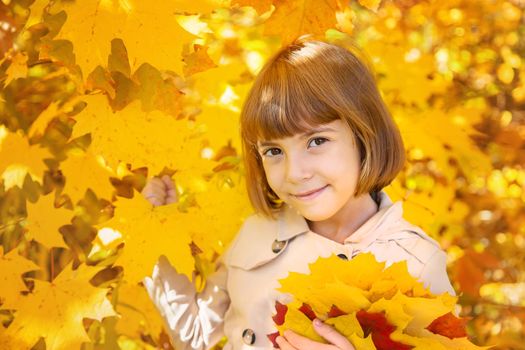 Children in the park with autumn leaves. Selective focus.