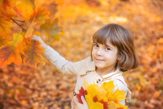 Children in the park with autumn leaves. Selective focus.