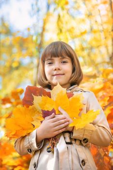 Children in the park with autumn leaves. Selective focus.