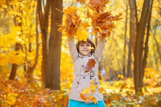 Children in the park with autumn leaves. Selective focus.