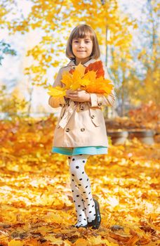 Children in the park with autumn leaves. Selective focus.