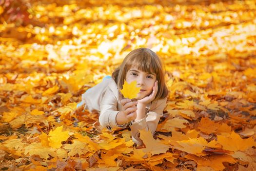 Children in the park with autumn leaves. Selective focus.