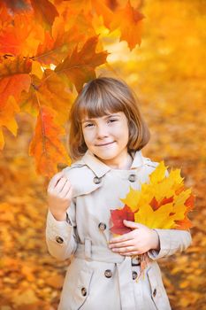 Children in the park with autumn leaves. Selective focus.