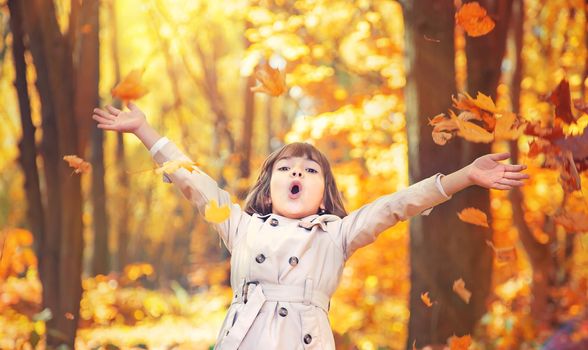 Children in the park with autumn leaves. Selective focus.