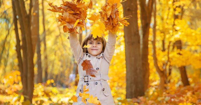 Children in the park with autumn leaves. Selective focus.