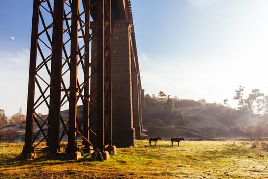 A 19th century viaduct in Taradale, Victoria, Australia on a clear spring day.