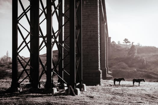 A 19th century viaduct in Taradale, Victoria, Australia on a clear spring day.