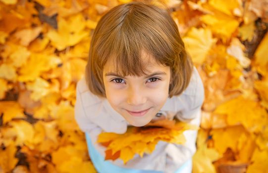 Children in the park with autumn leaves. Selective focus.