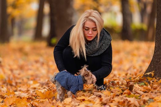 girl with her yorkshire terrier dog in the park