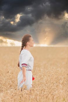 girl in the Ukrainian national costume on the background of a wheat field and sunset sun