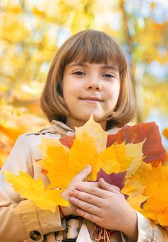 Children in the park with autumn leaves. Selective focus.