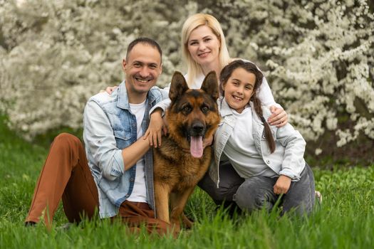 Family with small child and dog outdoors in orchard in spring