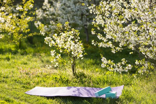 Yoga mat in a sunny garden. Relaxed atmosphere.