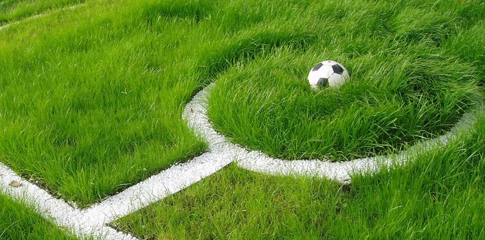 Soccer ball on green grass. Green flowerbed depicting a football field and a ball.