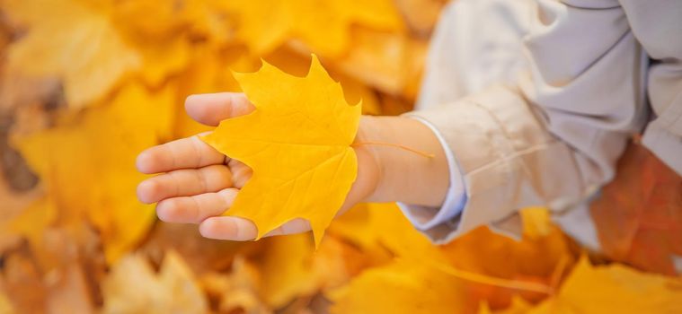 Children in the park with autumn leaves. Selective focus. nature.