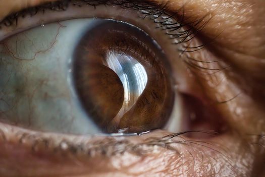 Extreme macro closeup of a human eye with a light brown shiny iris surrounding the pupil and light reflected from a window