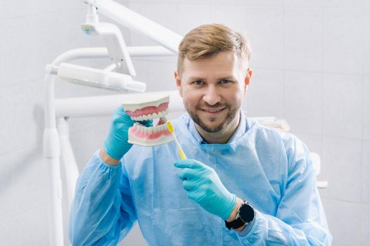 A model of a human jaw with teeth and a toothbrush in the dentist's hand.