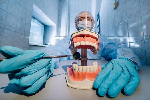 A dental doctor wearing blue gloves and a mask holds a dental model of the upper and lower jaws and a dental mirror.