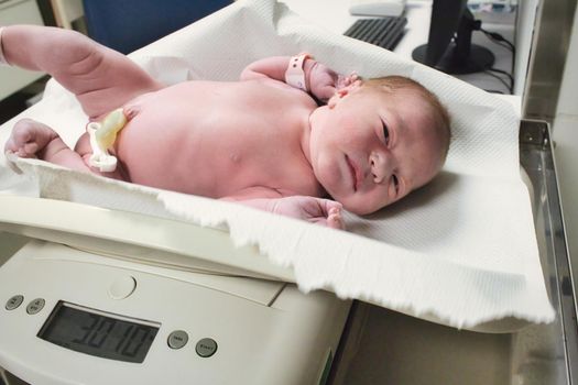 A newborn baby being weighed in digital scales at the maternity ward in hospital