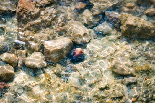 Rocks and a colorful shell underwater shot from above with a dreamy effect of rippling water and waves