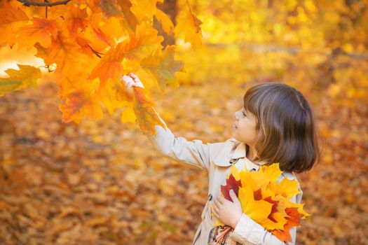 Children in the park with autumn leaves. Selective focus.