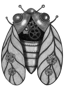 Design Element Hand Drawn Illustration of Black and White Steampunk Cicada Isolated on White Background. Steampunk Cicada Drawn by Colored Pencils.
