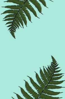 Creative tropical green leaves layout. Nature spring concept. Pattern on green background