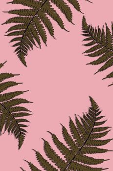 Creative tropical green leaves layout. Nature spring concept. Pattern on pink background