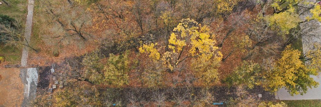 Top view of green area from building, green trees with golden leaves in autumn season. Territory with streets and road. Exterior, nature, fresh air concept