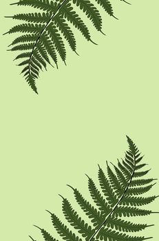 Creative tropical green leaves layout. Nature spring concept. Pattern on green background