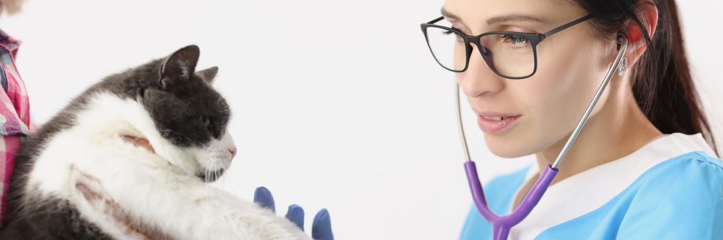 Portrait of veterinarian woman examine domestic pet with stethoscope tool listen to heartbeat. Checkup of cats health in vet. Veterinary medicine concept