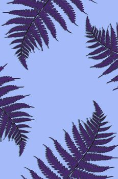 Creative tropical green leaves layout. Nature spring concept. Pattern on blue background
