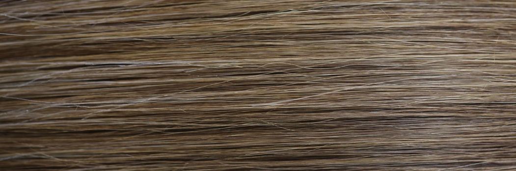 Close-up of straight chestnut natural hair texture after dye procedure in salon. Woman with shiny and luxury quality of hair. Wellness, self care concept