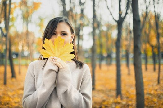 Young woman in a gray sweater with an autumn yellow maple leaf in front of her face in a maple park.