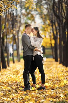 Date of traditional young couple of lovers in autumn park. vertical, copy space