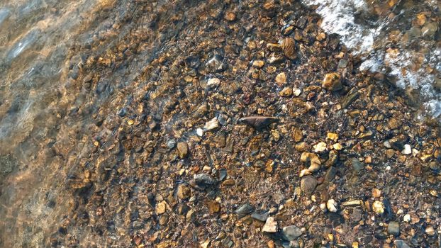 Top view on colorful pebbles covered by water. Close up view of smooth round pebble stones on the beach.