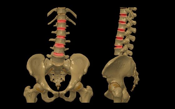 CT Lumbar spine or L-S spine 3D rendering image AP and Lateral view . 3D illustration.