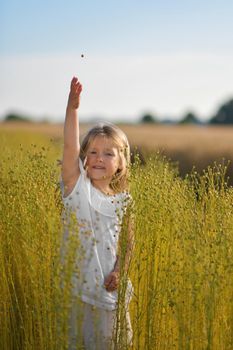A girl in a white dress in a linen field