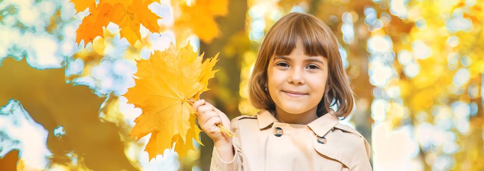 Children in the park with autumn leaves. Selective focus.