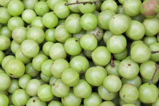 tasty and green gooseberry stock on shop for sell