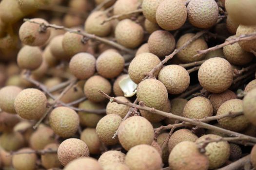 Tasty and Healthy Longan Stock on shop for sell