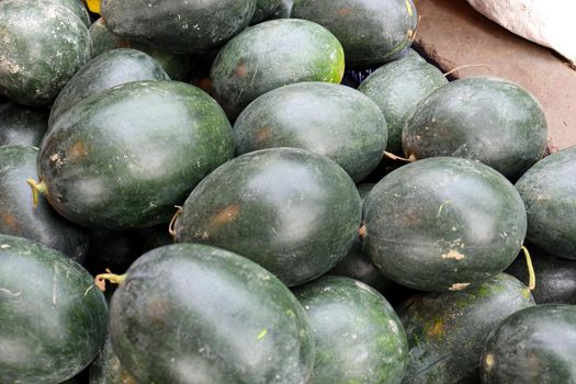 green colored tasty and healthy watermelon stock on shop for sell