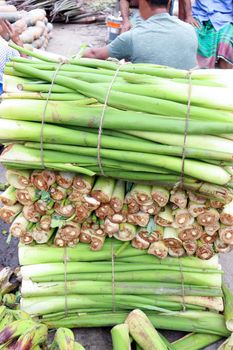 fresh and healthy taro stock on shop for sell