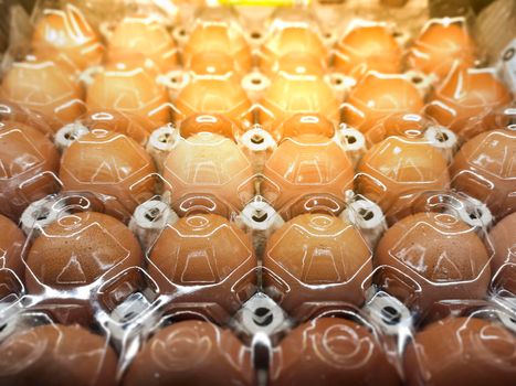 Close up Many eggs fresh from farm pack up in recycle egg tray covered with transparent plastic .