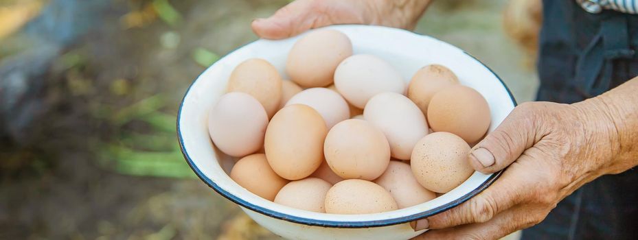 homemade eggs in grandmother's hands. Selective focus. nature.