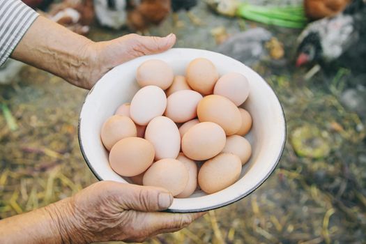 homemade eggs in grandmother's hands. Selective focus. nature.