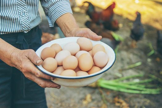 homemade eggs in grandmother's hands. Selective focus. nature.