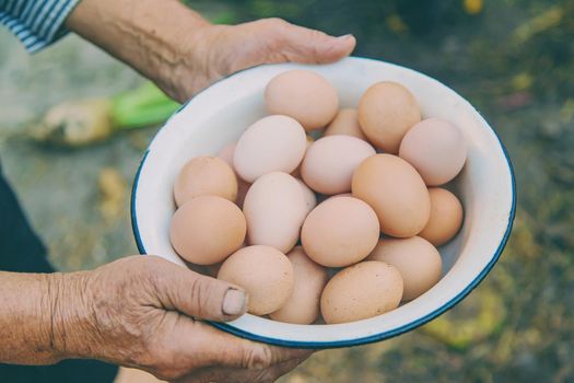 homemade eggs in grandmother's hands. Selective focus. nature.