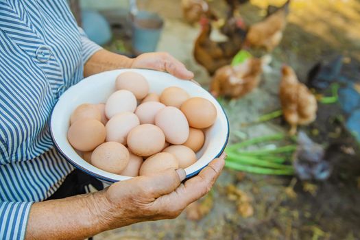 homemade eggs in grandmother's hands. Selective focus. nature.